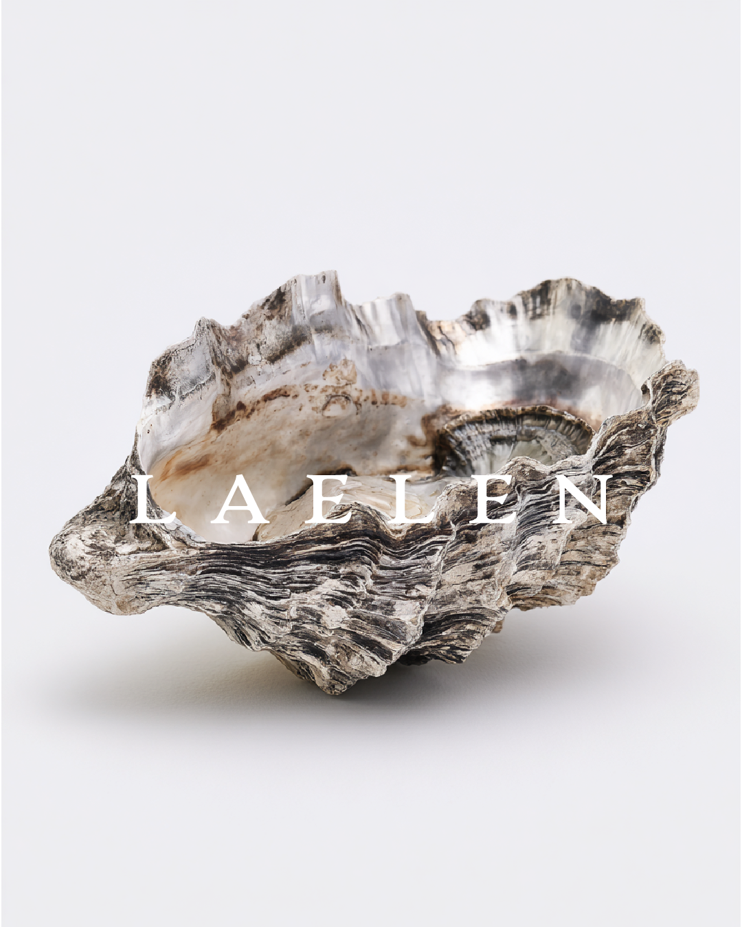 Decorative shell with 'LAELEN' branding on a white background